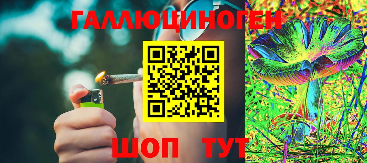 Галлюциногенные грибы Psilocybine cubensis  Вход с VPN  Камень-на-Оби 