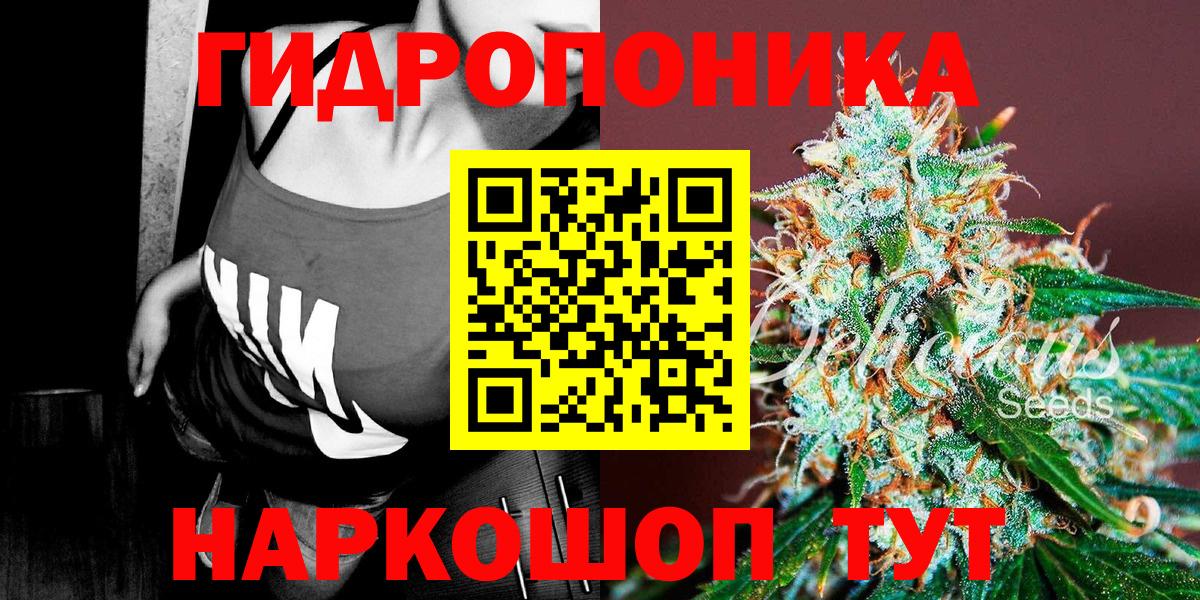 Каннабис планчик Камень-на-Оби